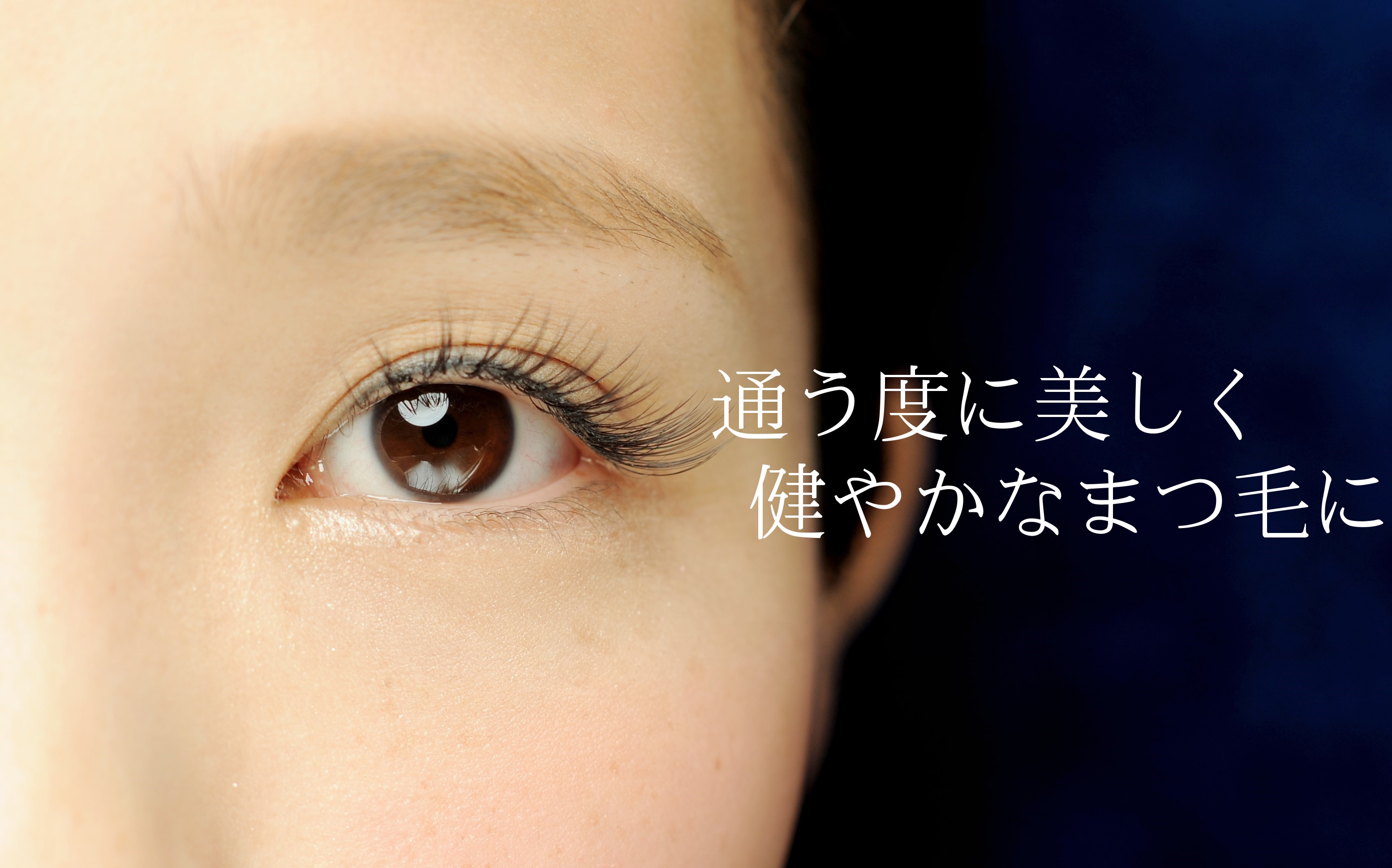 写真:ボリュームラッシュ